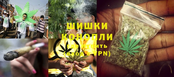 прущие грибы Армянск