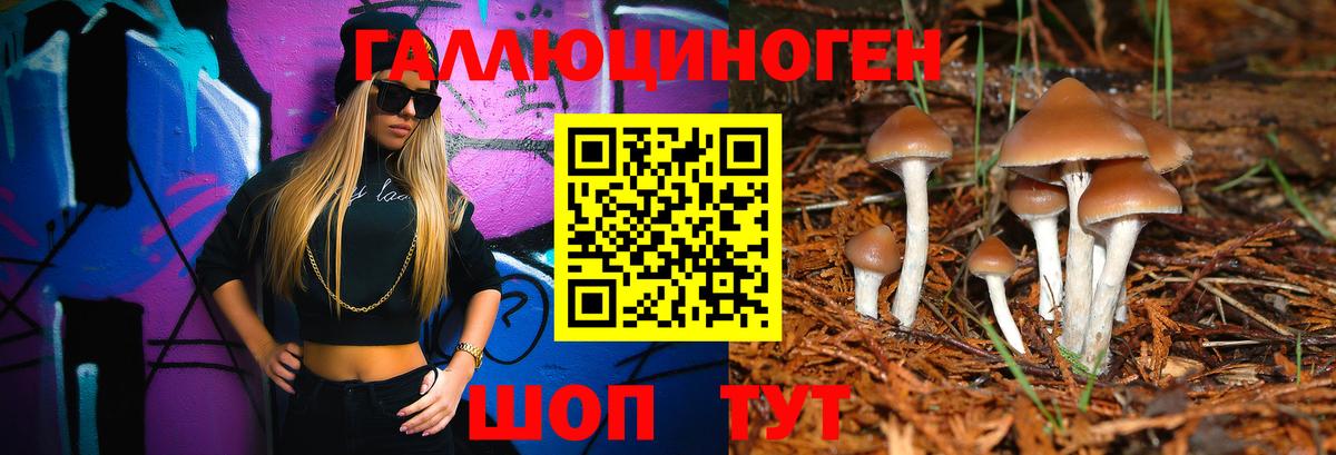 Галлюциногенные грибы мицелий  купить наркотик  Ахтубинск  Вход с VPN 